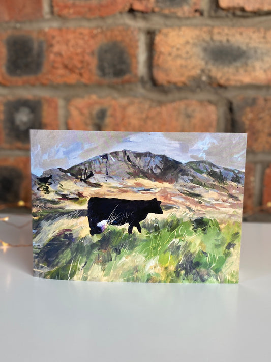 Colonsay Cow, Greeting card
