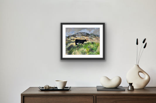 Colonsay Cow, Fine Art Print on Paper