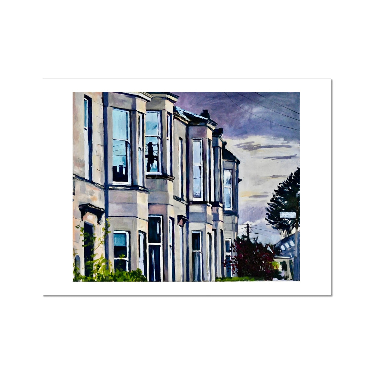 Monkey Puzzle Tree, Glasgow, Fine Art Print on Paper