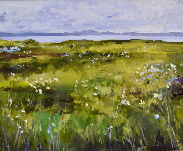 The Machair, Coll