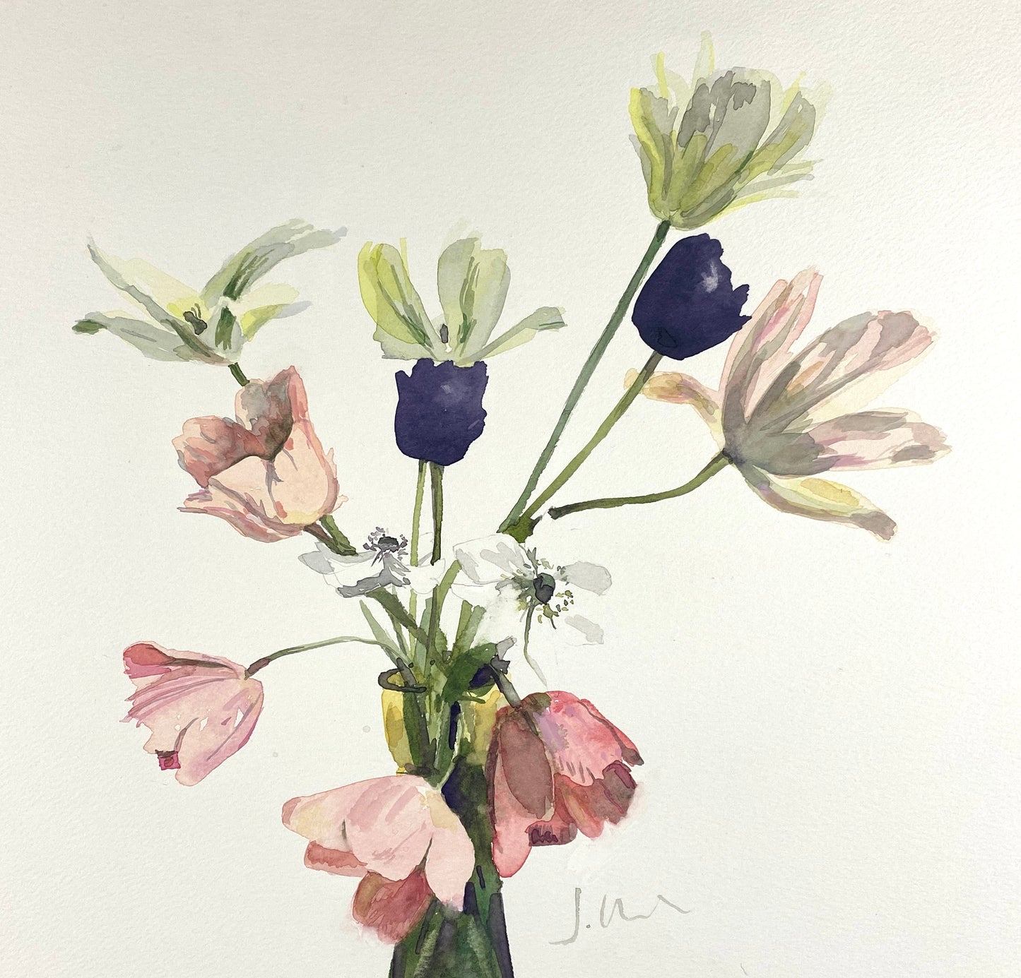 Pink and Black Tulips with White Anemone – original watercolour painting