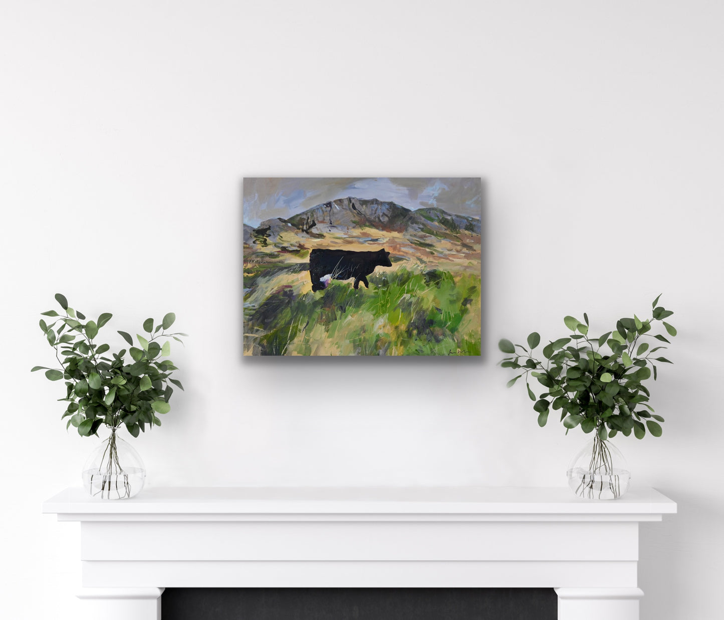 Colonsay Cow, Scottish Island, Fine Art Print on Canvas