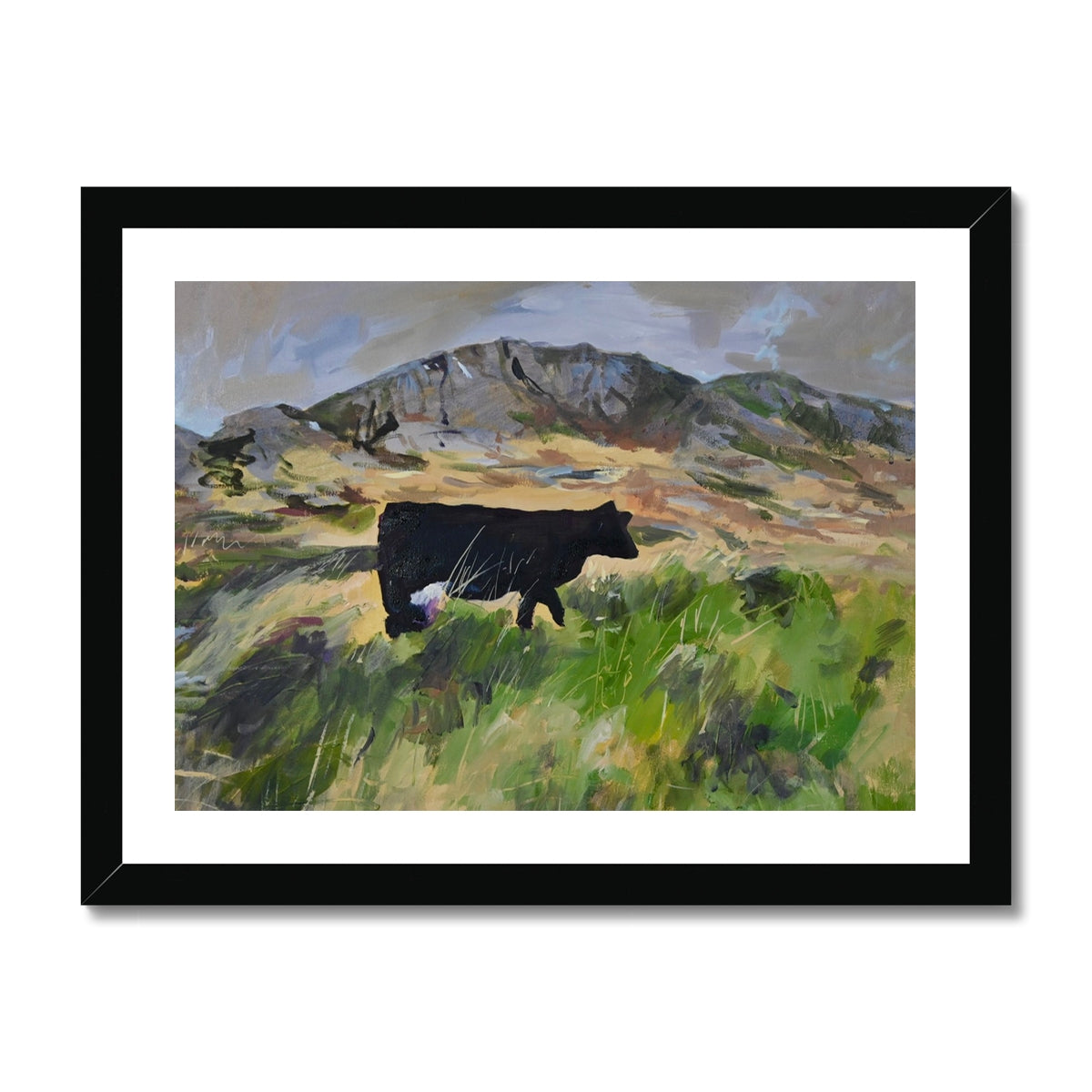 Colonsay Cow, Fine Art Print on Paper