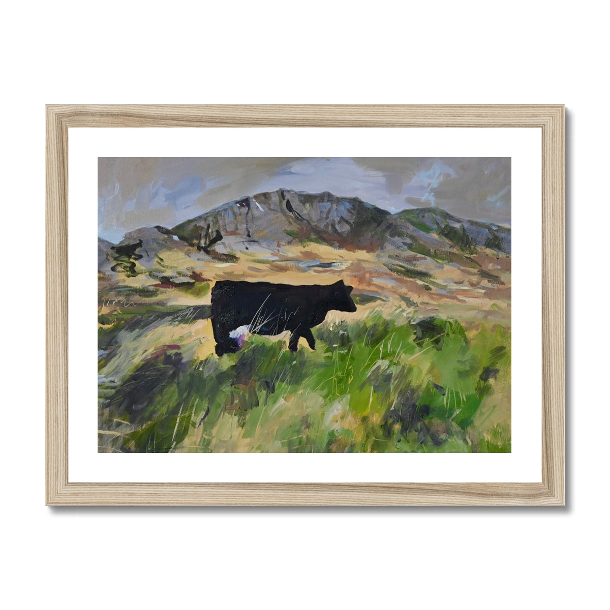 Colonsay Cow, Fine Art Print on Paper