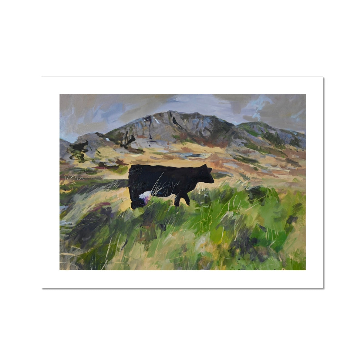 Colonsay Cow, Fine Art Print on Paper