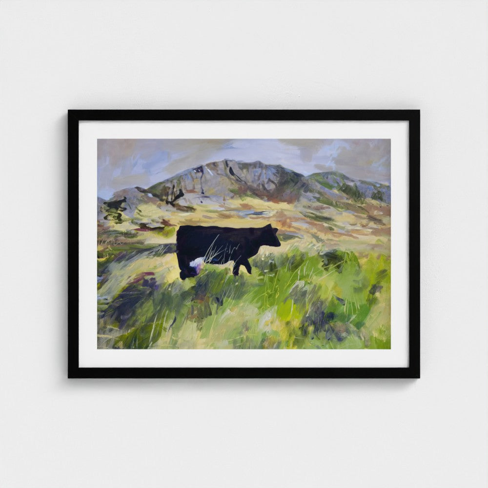 Colonsay Cow, Scottish Island | Fine Art Print on Paper | Highland Cow Hebridean Landscape | Jenny Hunter