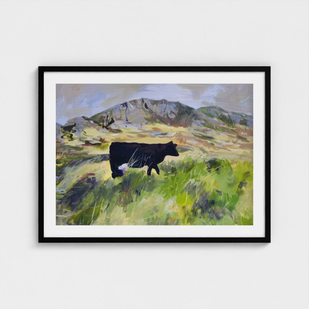 Colonsay Cow, Scottish Island | Fine Art Print on Paper | Highland Cow Hebridean Landscape | Jenny Hunter