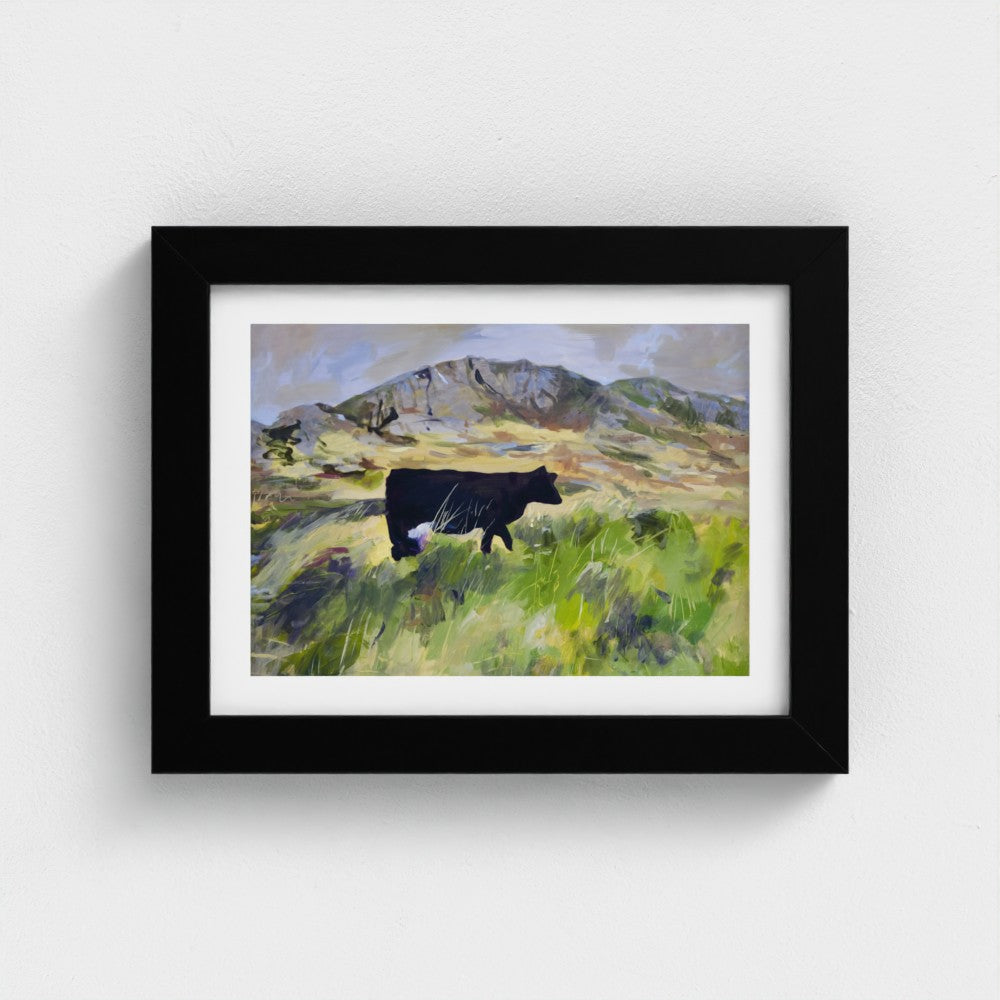Colonsay Cow, Scottish Island | Fine Art Print on Paper | Highland Cow Hebridean Landscape | Jenny Hunter