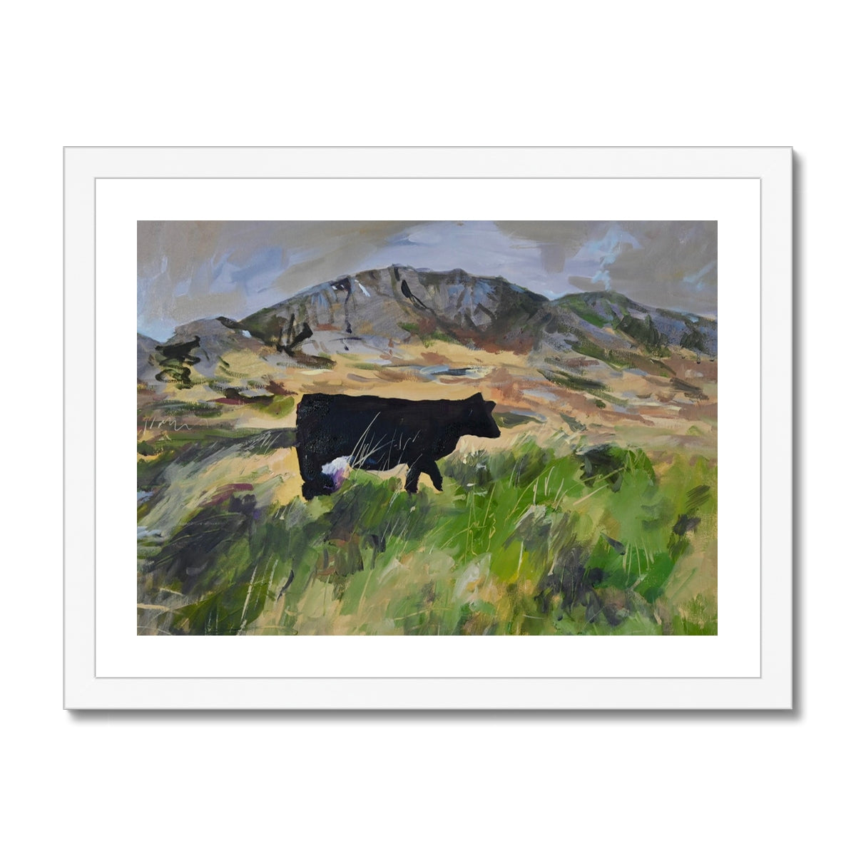 Colonsay Cow, Fine Art Print on Paper