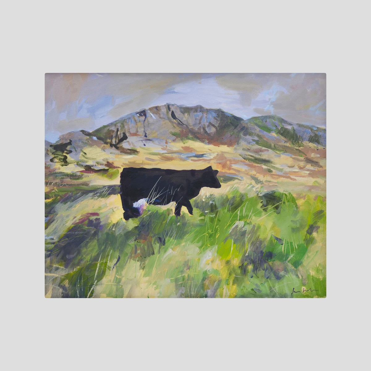 Colonsay Cow, Scottish Island | Fine Art Print on Canvas | Highland Cow Hebridean Landscape | Jenny Hunter