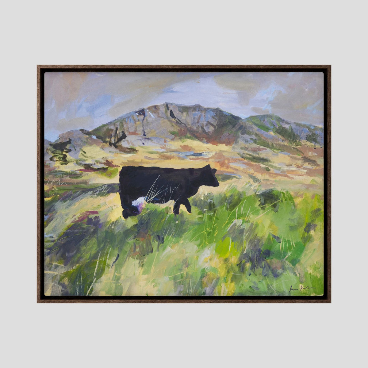 Colonsay Cow, Scottish Island | Fine Art Print on Canvas | Highland Cow Hebridean Landscape | Jenny Hunter