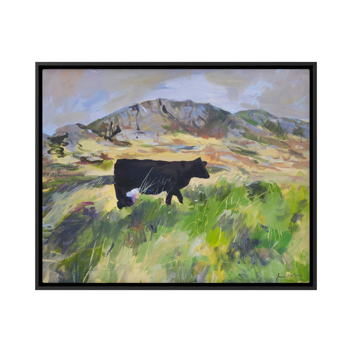 Colonsay Cow, Scottish Island | Fine Art Print on Canvas | Highland Cow Hebridean Landscape | Jenny Hunter