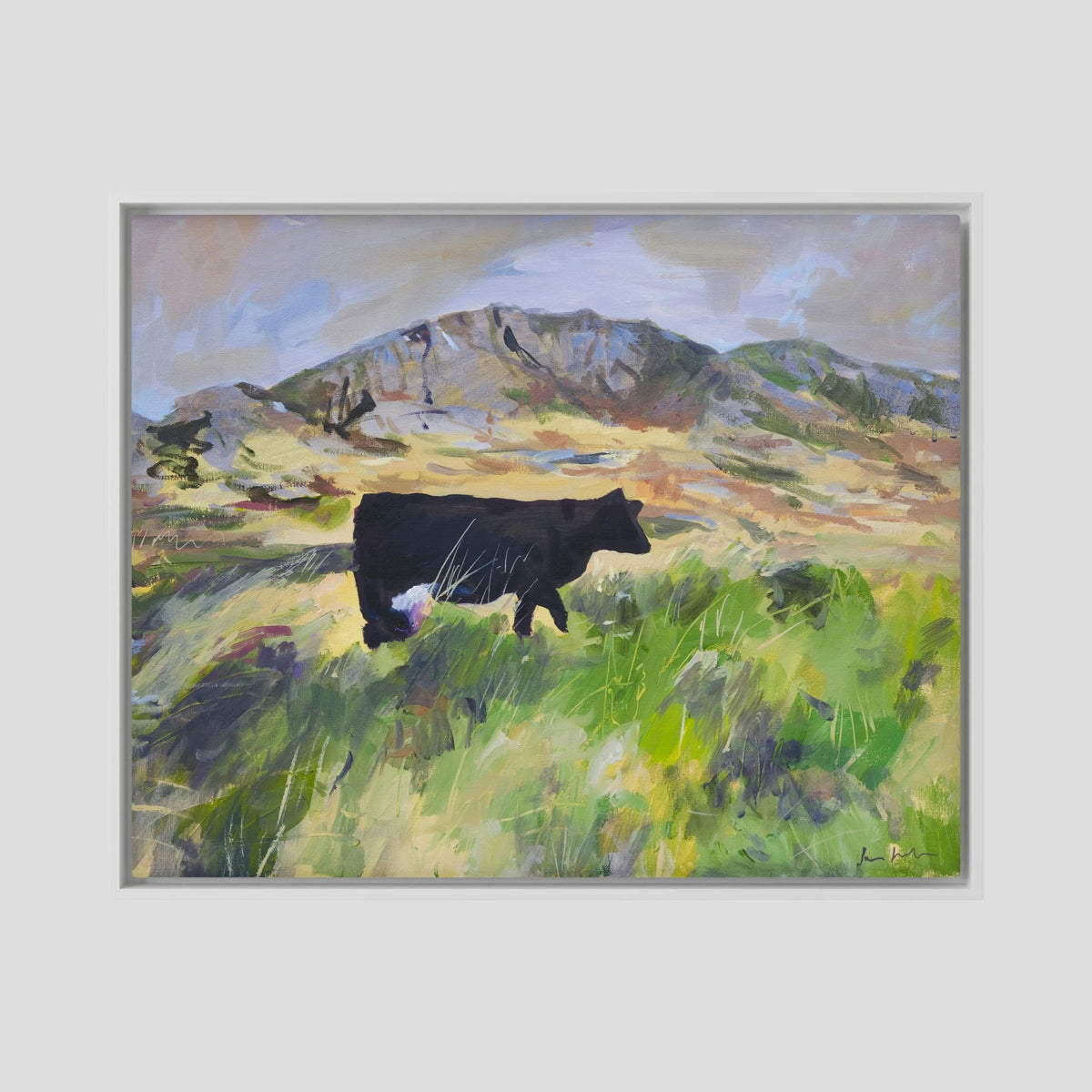 Colonsay Cow, Scottish Island | Fine Art Print on Canvas | Highland Cow Hebridean Landscape | Jenny Hunter