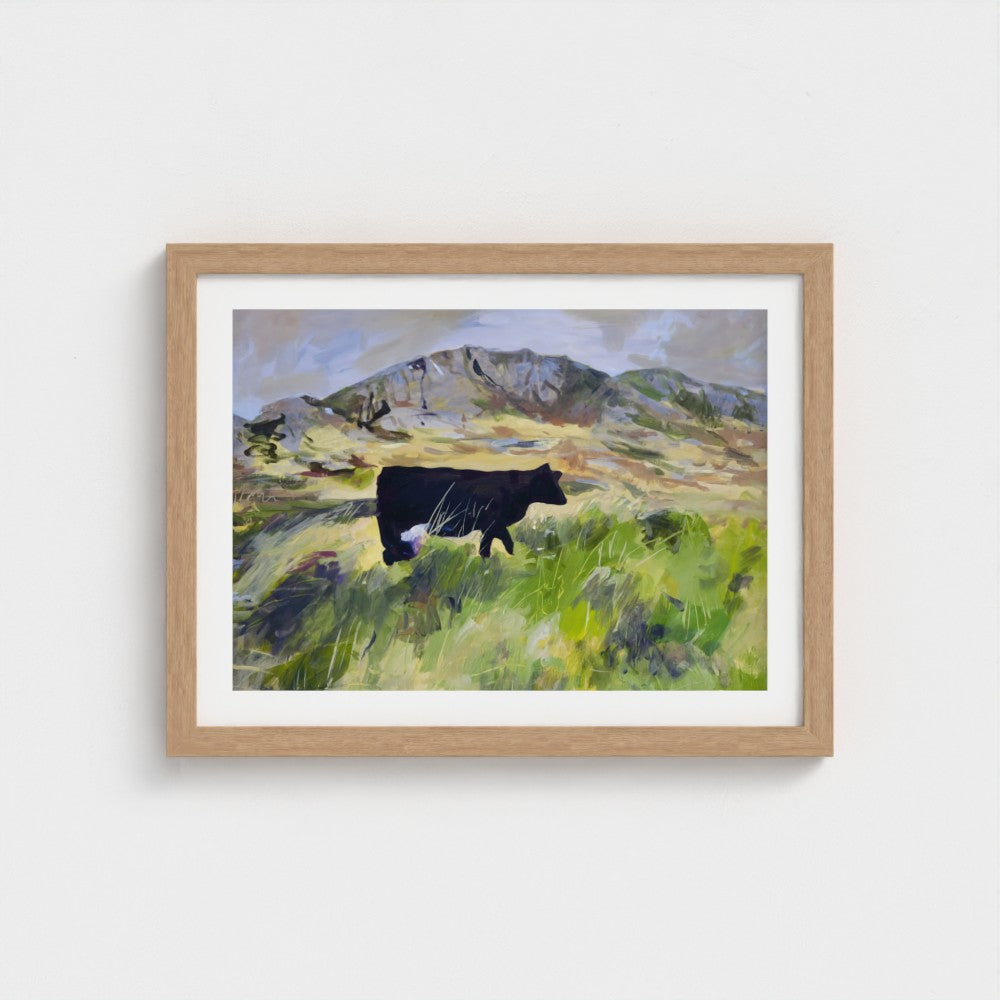 Colonsay Cow, Scottish Island | Fine Art Print on Paper | Highland Cow Hebridean Landscape | Jenny Hunter