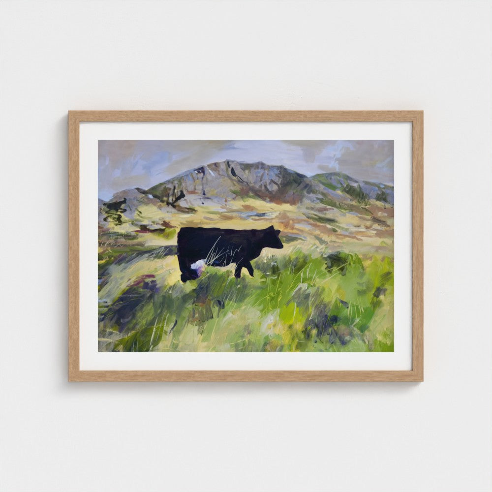 Colonsay Cow, Scottish Island | Fine Art Print on Paper | Highland Cow Hebridean Landscape | Jenny Hunter
