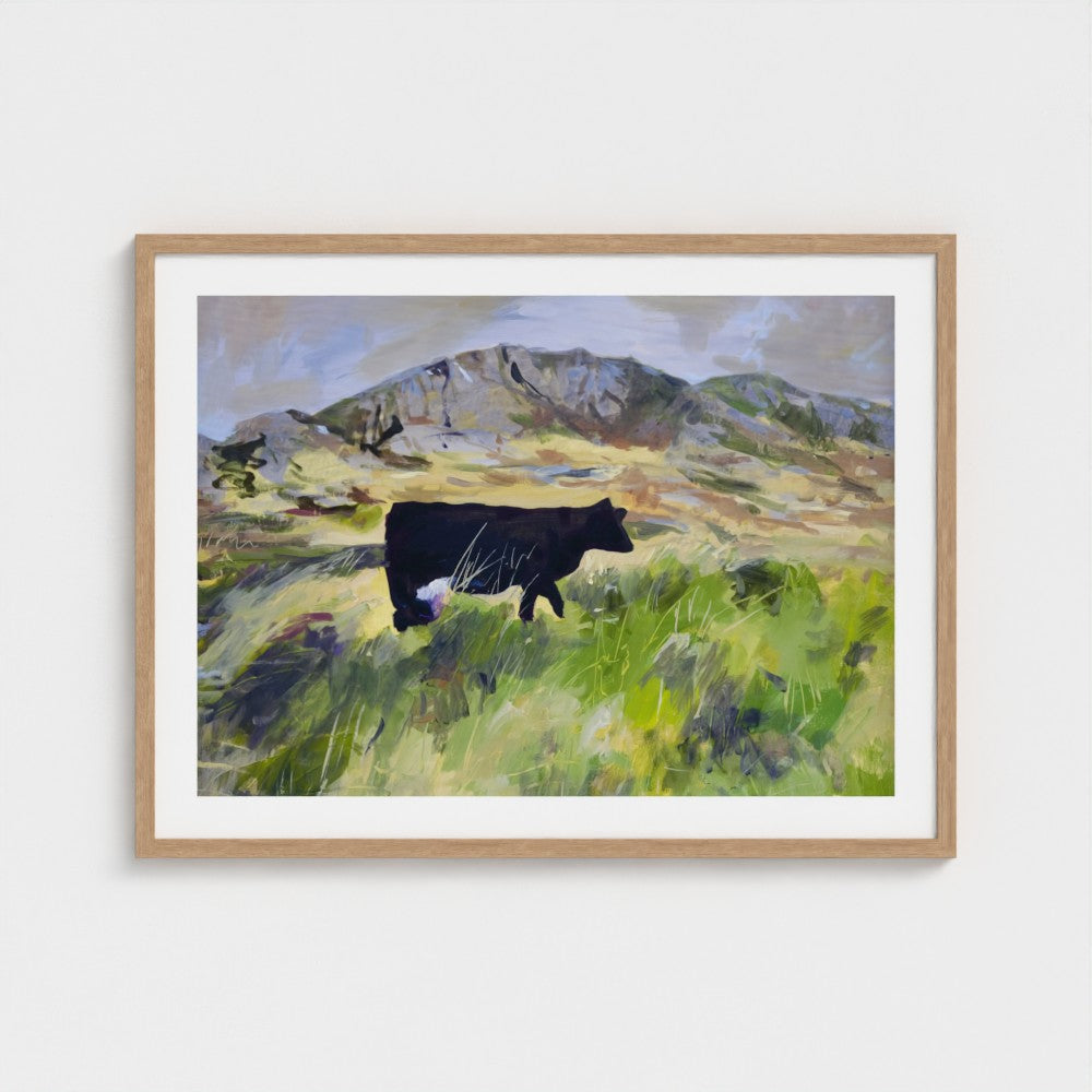 Colonsay Cow, Scottish Island | Fine Art Print on Paper | Highland Cow Hebridean Landscape | Jenny Hunter