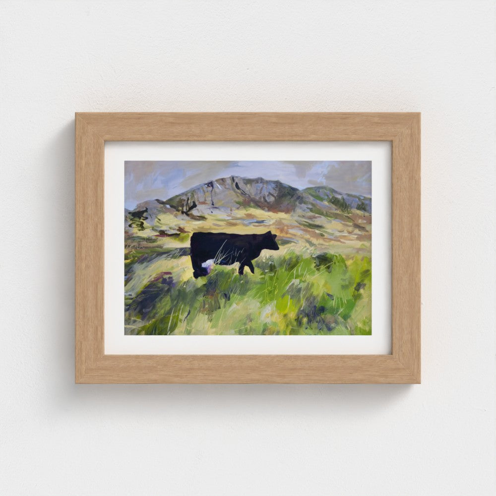 Colonsay Cow, Scottish Island | Fine Art Print on Paper | Highland Cow Hebridean Landscape | Jenny Hunter