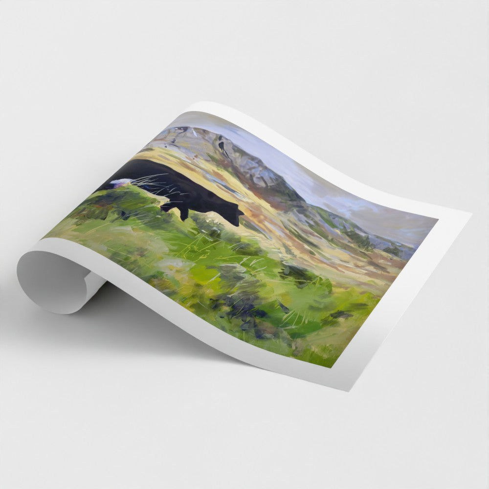 Colonsay Cow, Scottish Island | Fine Art Print on Paper | Highland Cow Hebridean Landscape | Jenny Hunter