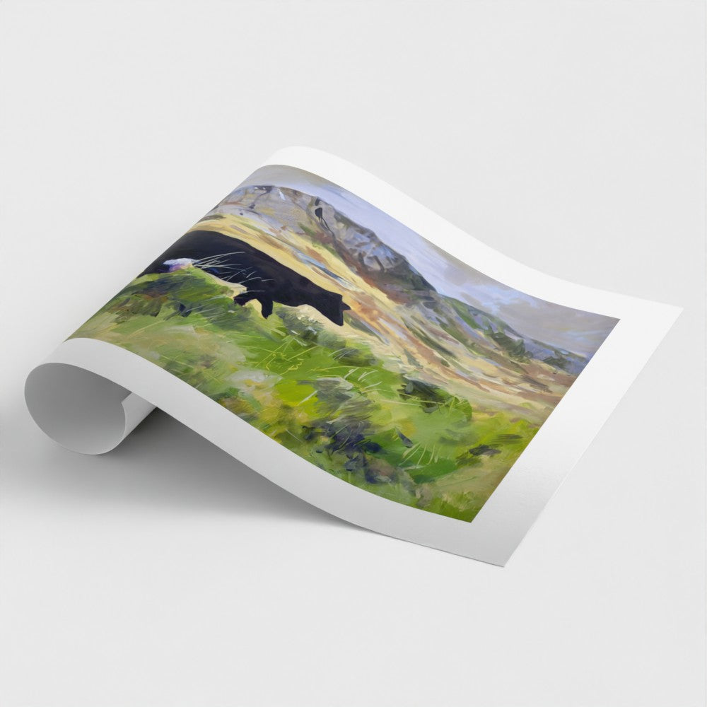 Colonsay Cow, Scottish Island | Fine Art Print on Paper | Highland Cow Hebridean Landscape | Jenny Hunter