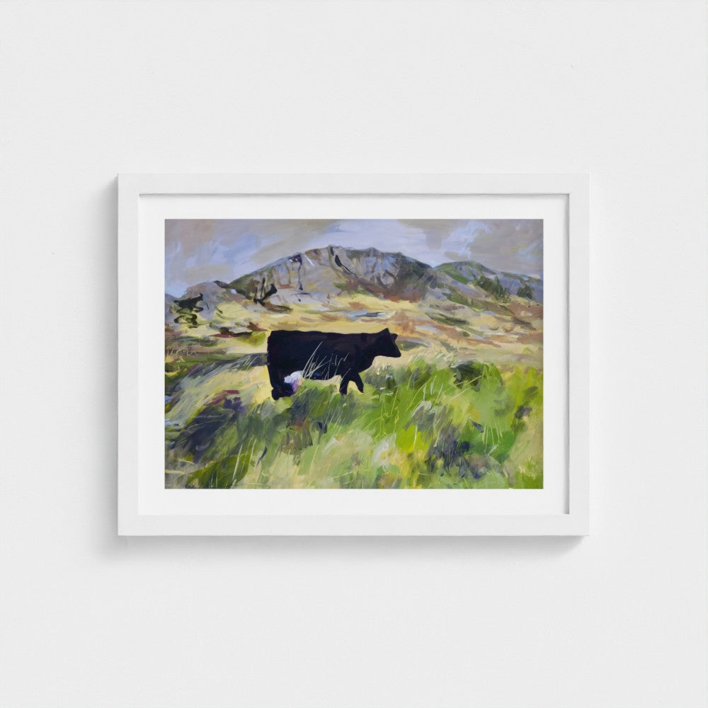 Colonsay Cow, Scottish Island | Fine Art Print on Paper | Highland Cow Hebridean Landscape | Jenny Hunter