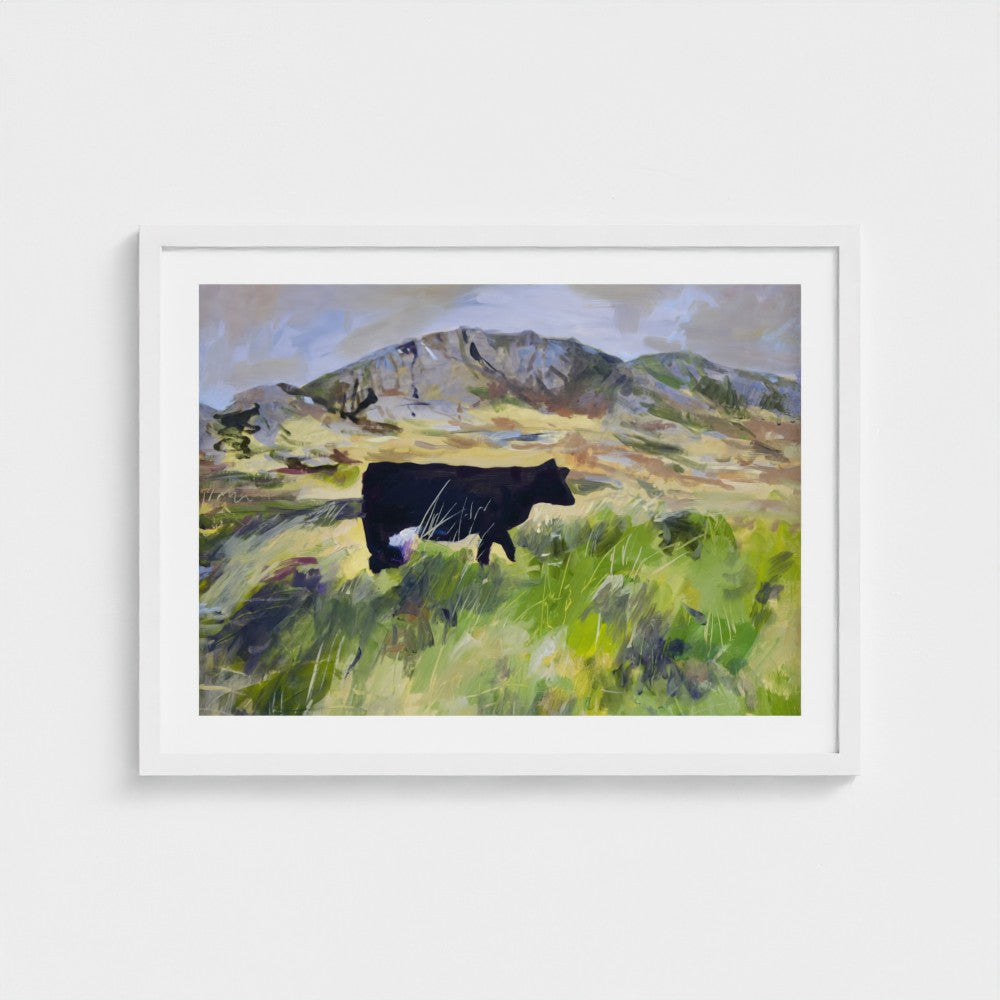 Colonsay Cow, Scottish Island | Fine Art Print on Paper | Highland Cow Hebridean Landscape | Jenny Hunter