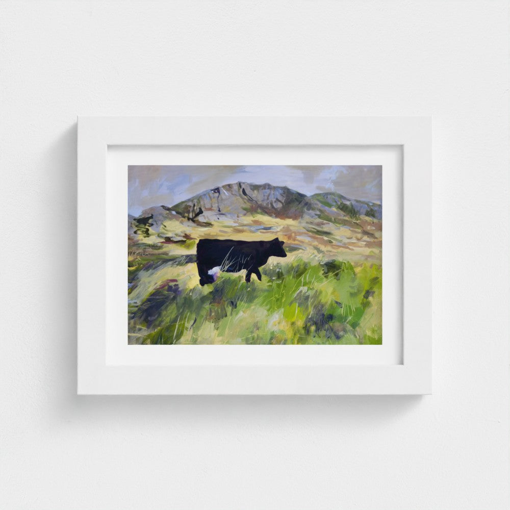 Colonsay Cow, Scottish Island | Fine Art Print on Paper | Highland Cow Hebridean Landscape | Jenny Hunter